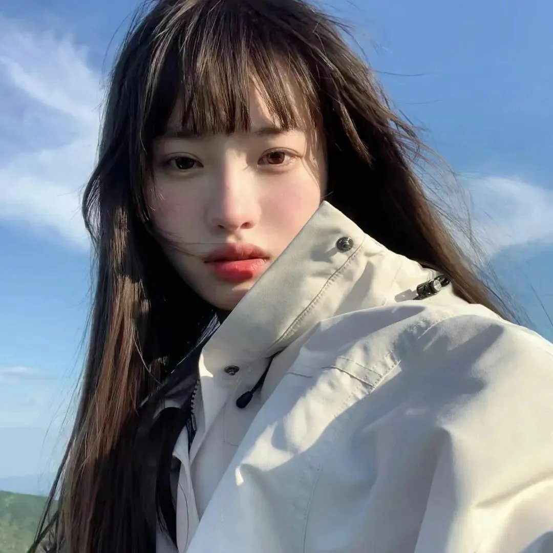海蒂