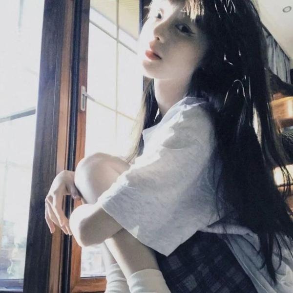 完美伴侣